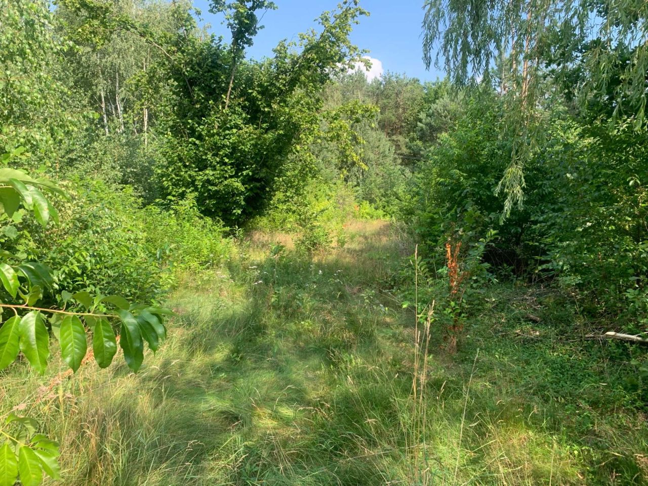Działka budowlana Lisowola. Zdjęcie 3