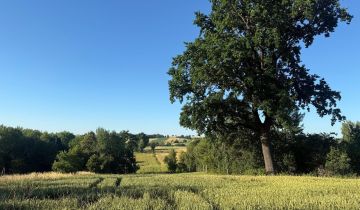 Działka siedliskowa Grzegorzowice
