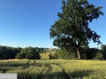 Działka siedliskowa Grzegorzowice