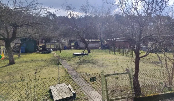 Działka rod Zielona Góra Centrum