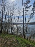 Działka budowlana Głębockie Pierwsze Witalisów, Witalisów. Zdjęcie 2