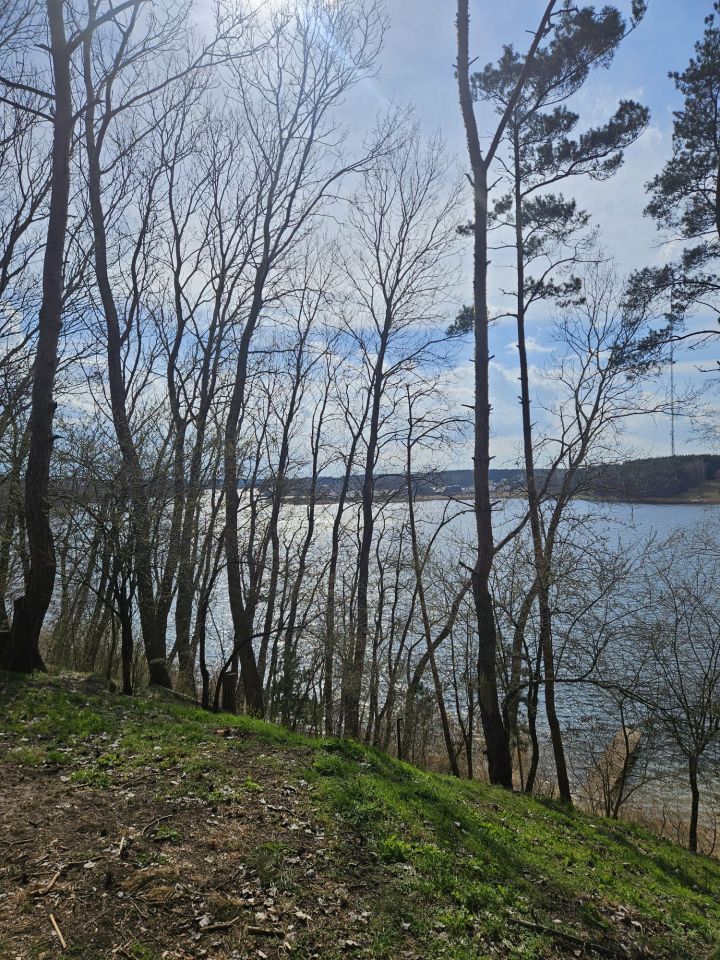Działka budowlana Głębockie Pierwsze Witalisów, Witalisów. Zdjęcie 3