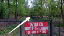 Działka budowlana Sokolniki-Las, ul. Zwycięska. Zdjęcie 3