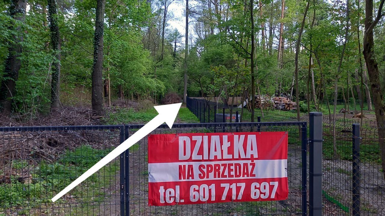 Działka budowlana Sokolniki-Las, ul. Zwycięska. Zdjęcie 4