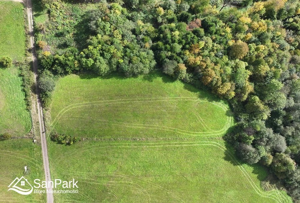 Działka rolna Wołkowyja. Zdjęcie 5