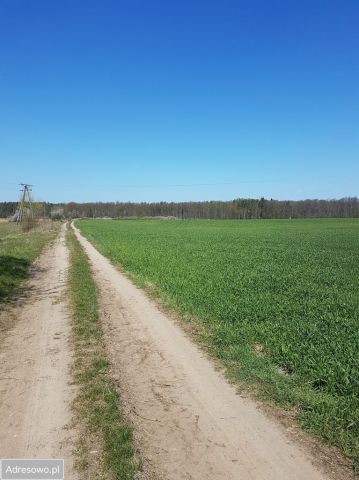 Działka rolna Raszówka, ul. Wincentego Witosa. Zdjęcie 1