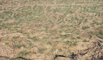 Działka budowlana Smołdzino