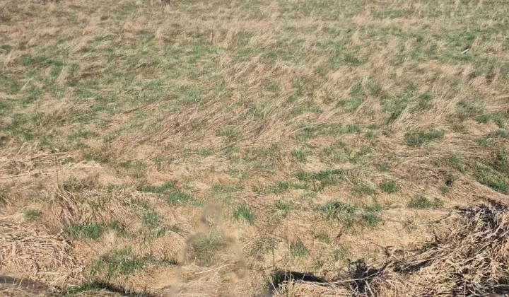 Działka budowlana Smołdzino