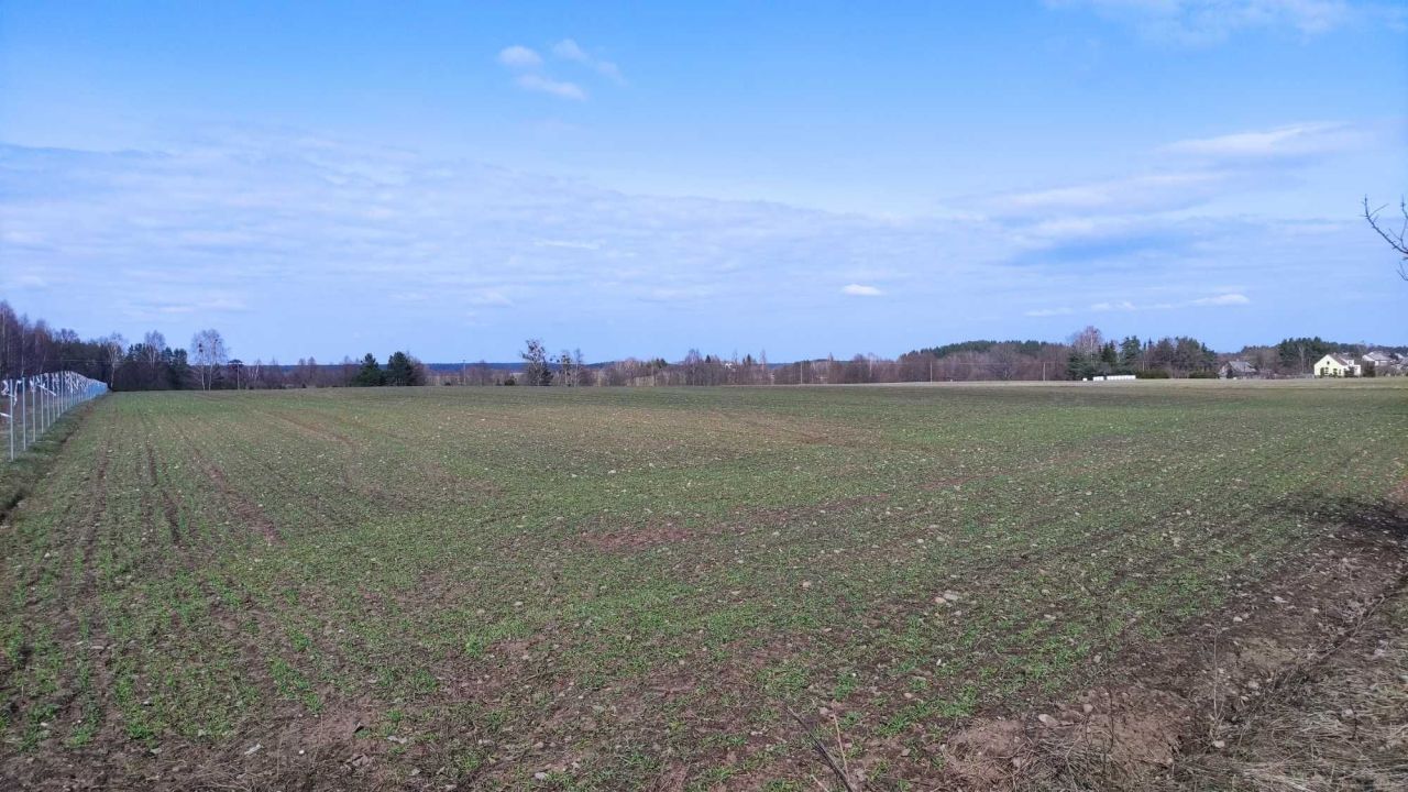 Działka siedliskowa Krusznik. Zdjęcie 2