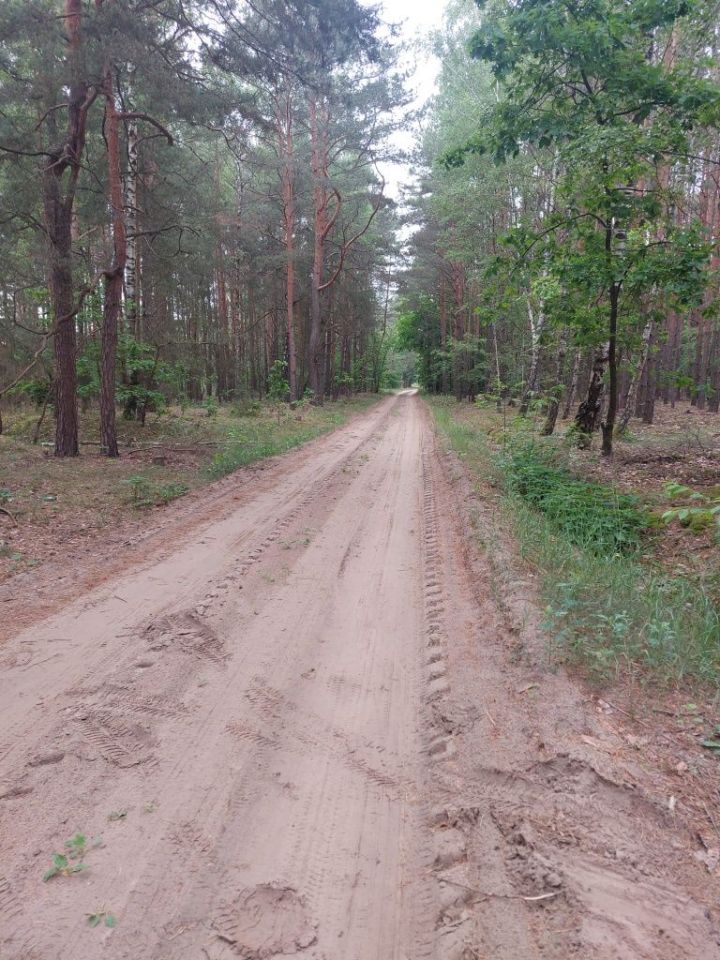 Działka rolno-budowlana Prabuty. Zdjęcie 6