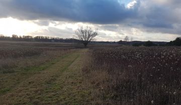 Działka rolno-budowlana Stare Budkowice