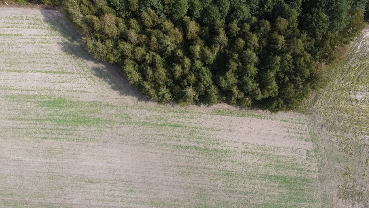 Działka rolna Wielkopole. Zdjęcie 13