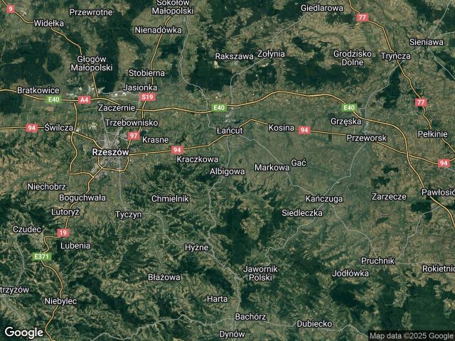 Działka leśna Albigowa. Zdjęcie 1