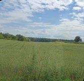 Działka budowlana Jaworze. Zdjęcie 1