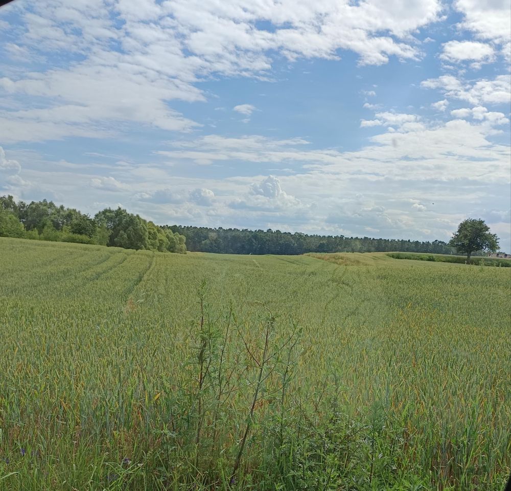 Działka budowlana Jaworze. Zdjęcie 2
