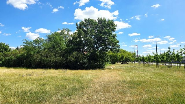 Działka budowlana Warszawa Białołęka, ul. Modlińska. Zdjęcie 10