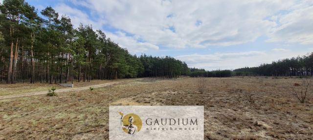 Działka budowlana Czersk, ul. Tucholska. Zdjęcie 16