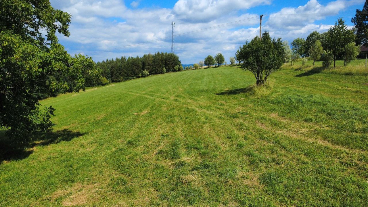 Działka rolna Krużlowa Niżna. Zdjęcie 2