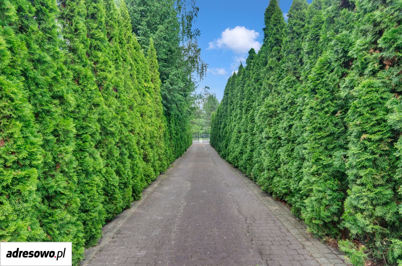 dom wolnostojący, 12 pokoi Radonie. Zdjęcie 6