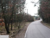 Działka leśna Białkowo. Zdjęcie 3