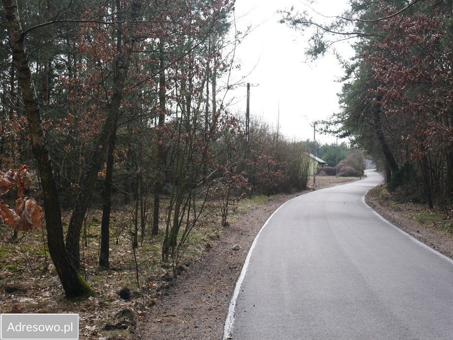 Działka leśna Białkowo. Zdjęcie 4