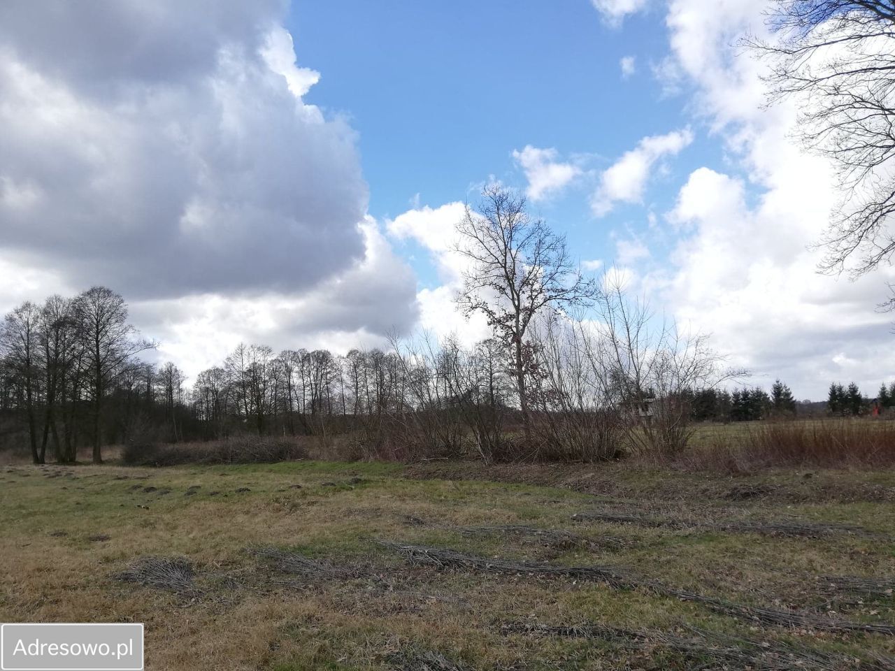 Działka siedliskowa Wola Brwileńska. Zdjęcie 7