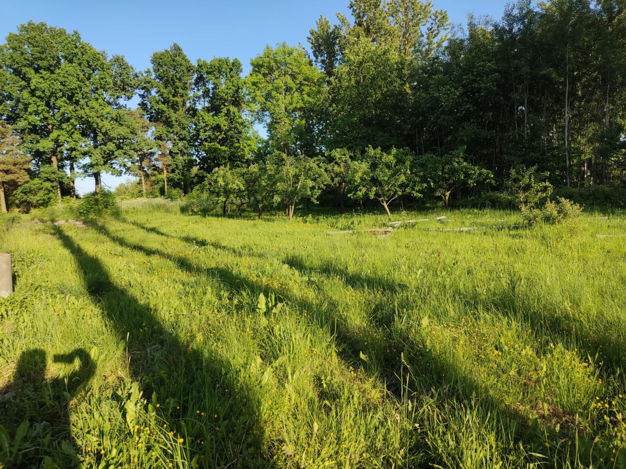 Działka rolno-budowlana Wygoda. Zdjęcie 3