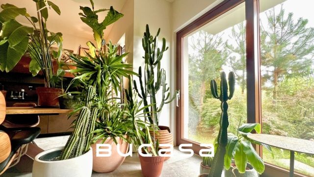 Mieszkanie 3-pokojowe Kraków Zwierzyniec, ul. Józefa Korzeniowskiego. Zdjęcie 8