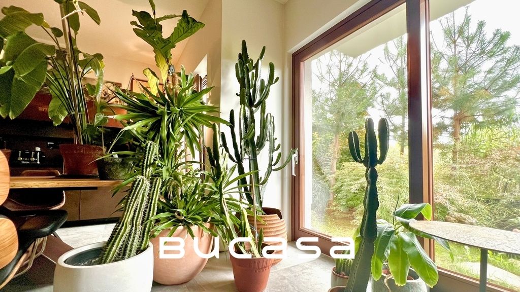 Mieszkanie 3-pokojowe Kraków Zwierzyniec, ul. Józefa Korzeniowskiego. Zdjęcie 8