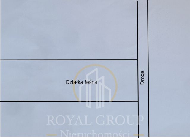 Działka leśna Jawidz. Zdjęcie 8