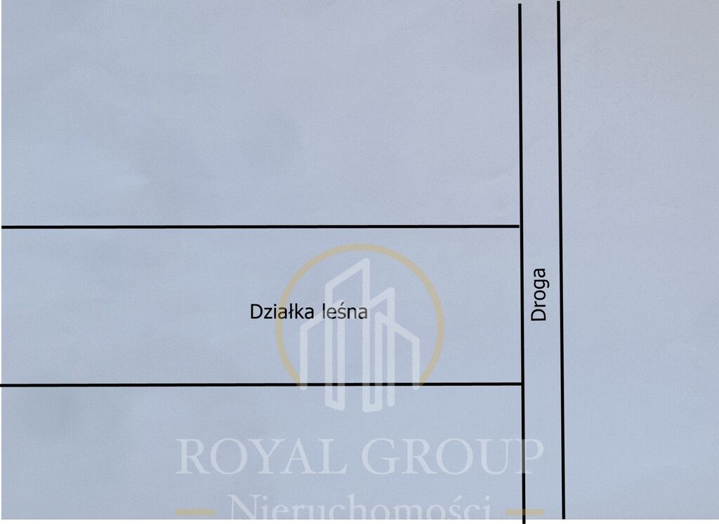 Działka leśna Jawidz. Zdjęcie 8