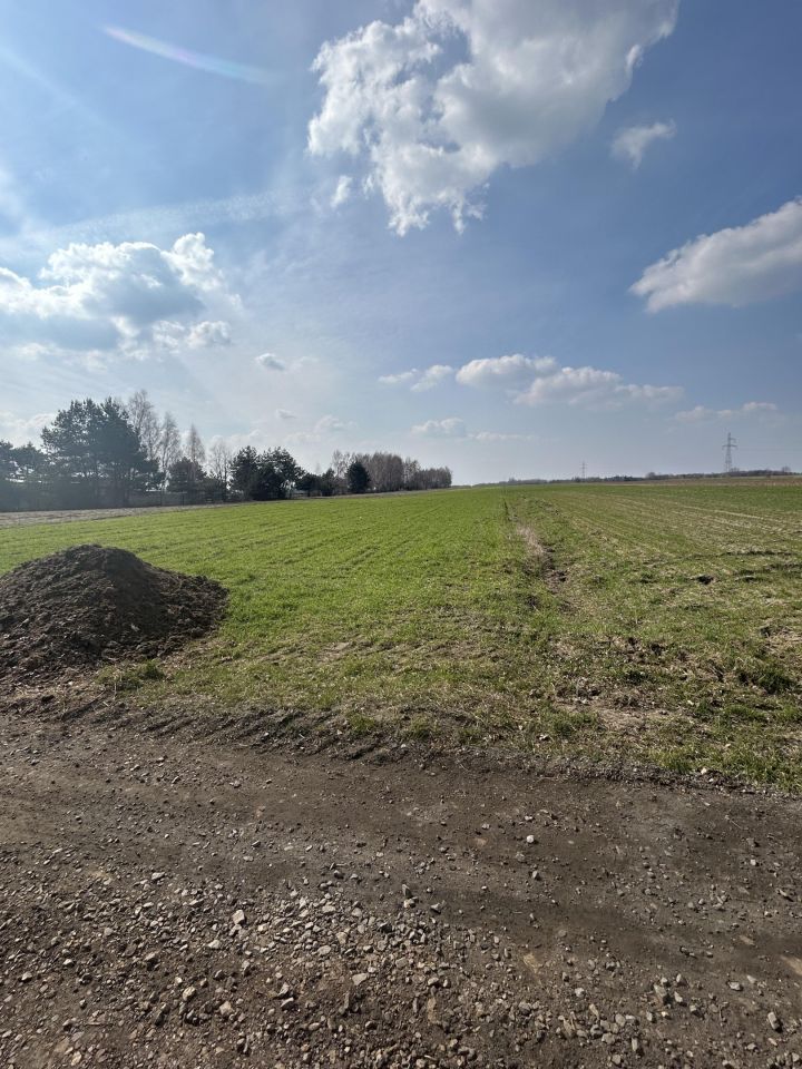 Działka rolno-budowlana Wola Załężna Żłoby. Zdjęcie 11