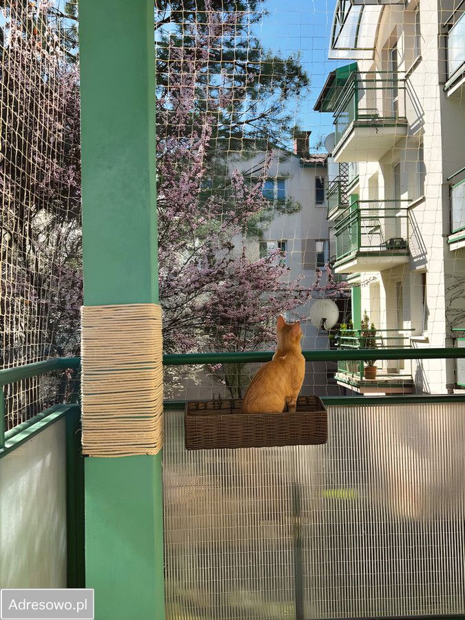 Mieszkanie 3-pokojowe Kraków Bieżanów, ul. Złocieniowa. Zdjęcie 3