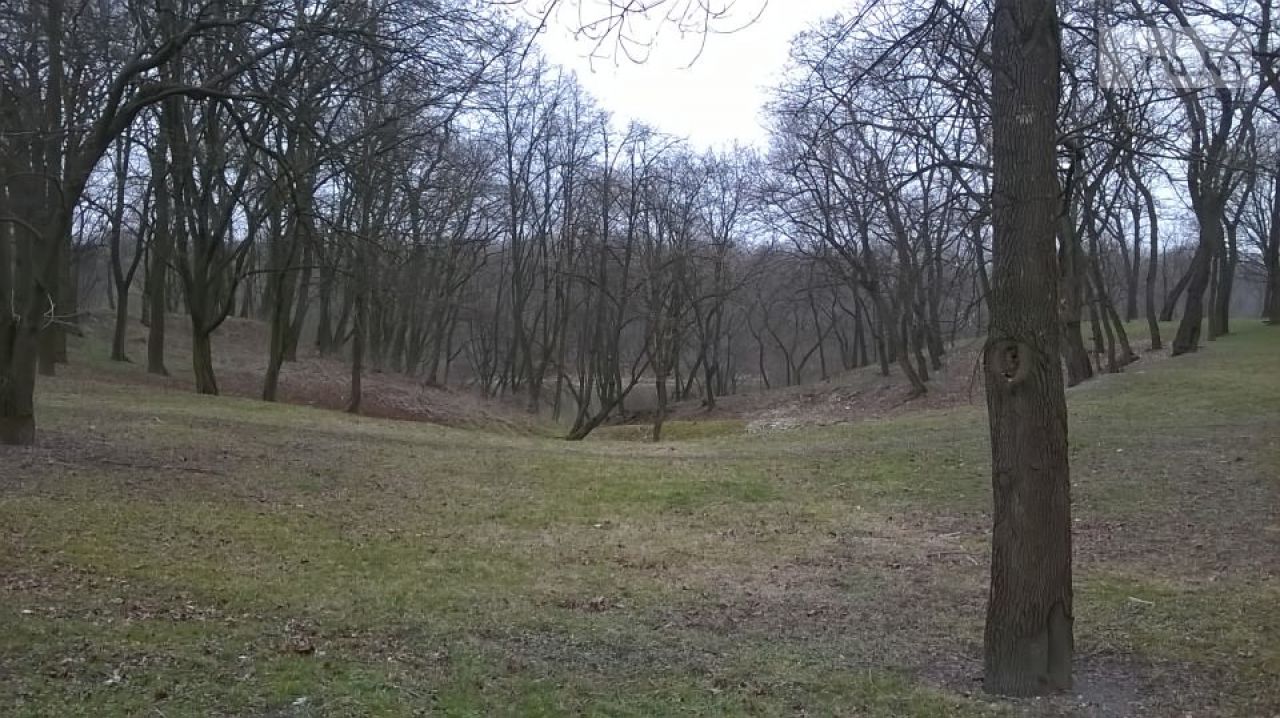 Działka budowlana Józefów nad Wisłą, ul. Parkowa. Zdjęcie 4