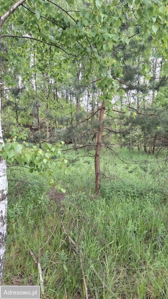 Działka budowlana Mierzęcice. Zdjęcie 2