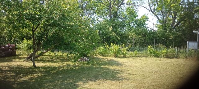 Działka rekreacyjna Wrocław Psie Pole, ul. Bierutowska. Zdjęcie 1