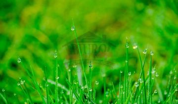 Działka budowlana Grodziec