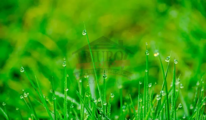 Działka budowlana Grodziec