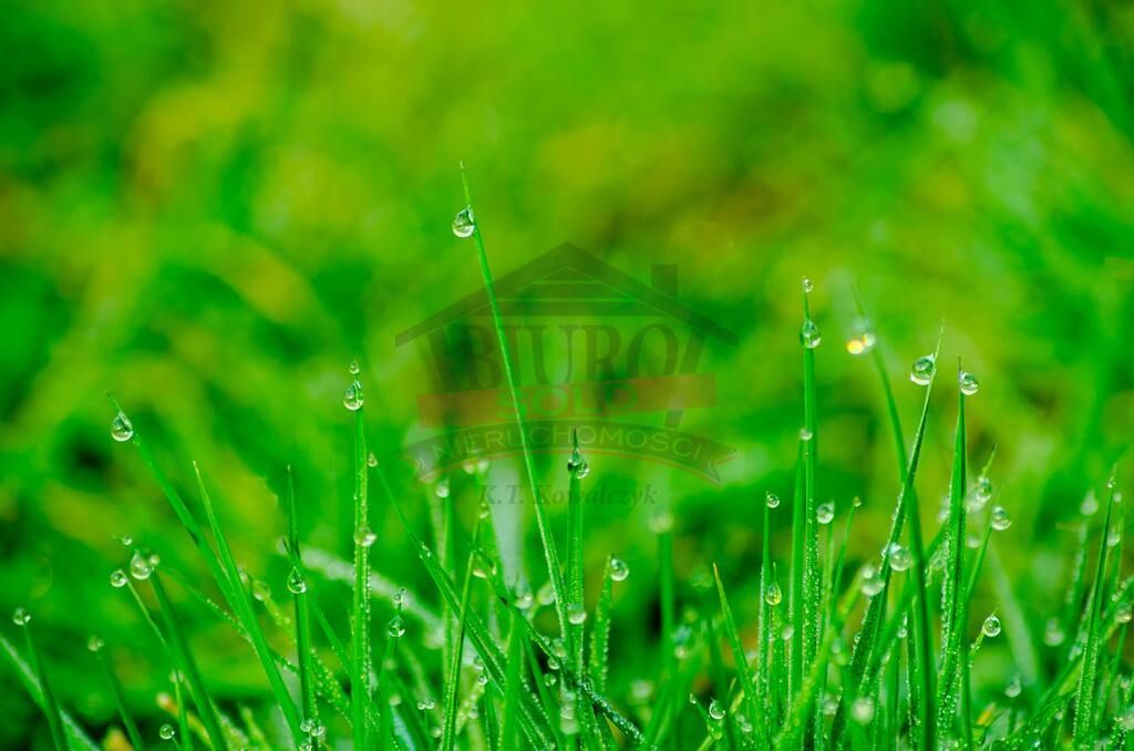 Działka budowlana Grodziec