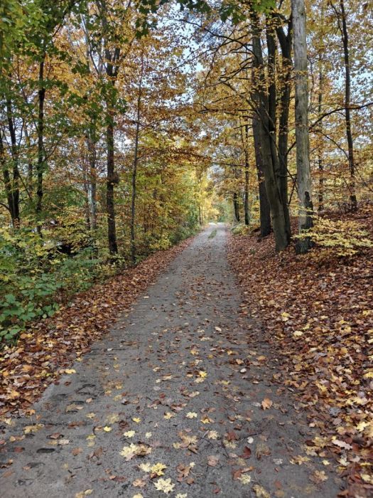 Działka budowlana Parchowo Karłowo. Zdjęcie 19