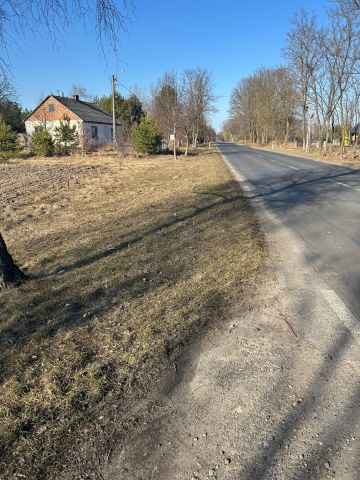 Działka leśna Orzechów-Kolonia. Zdjęcie 1