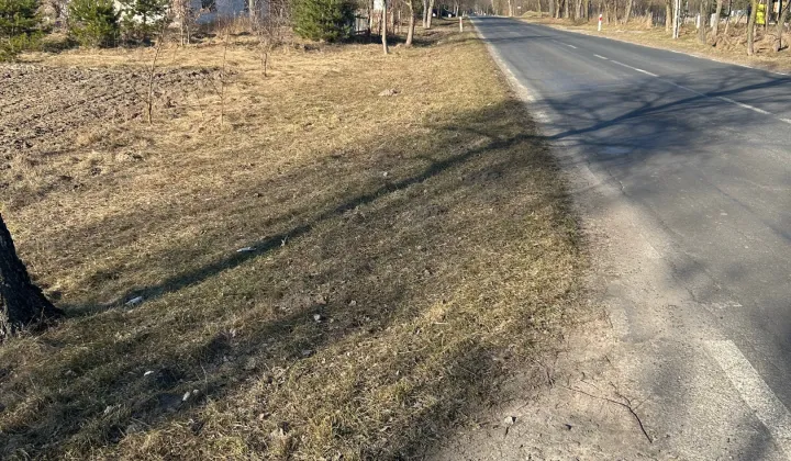 Działka leśna Orzechów-Kolonia