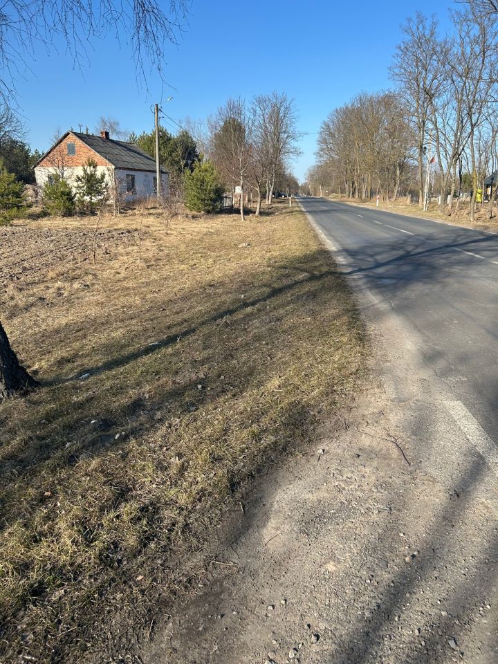 Działka leśna Orzechów-Kolonia. Zdjęcie 1