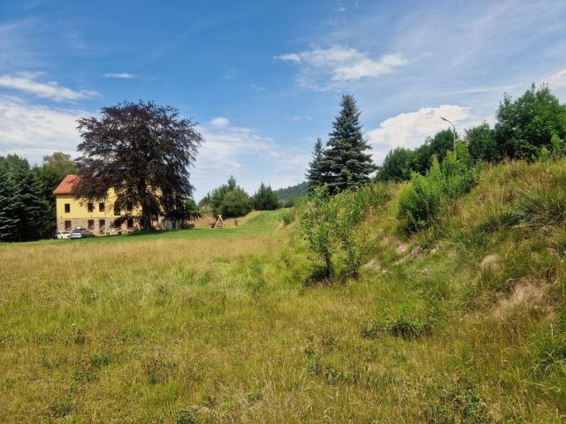 Działka inwestycyjna Sosnówka, ul. Liczyrzepy. Zdjęcie 3