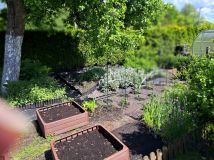 Działka rod Zabrze Biskupice, ul. Wojciecha Drzymały. Zdjęcie 2