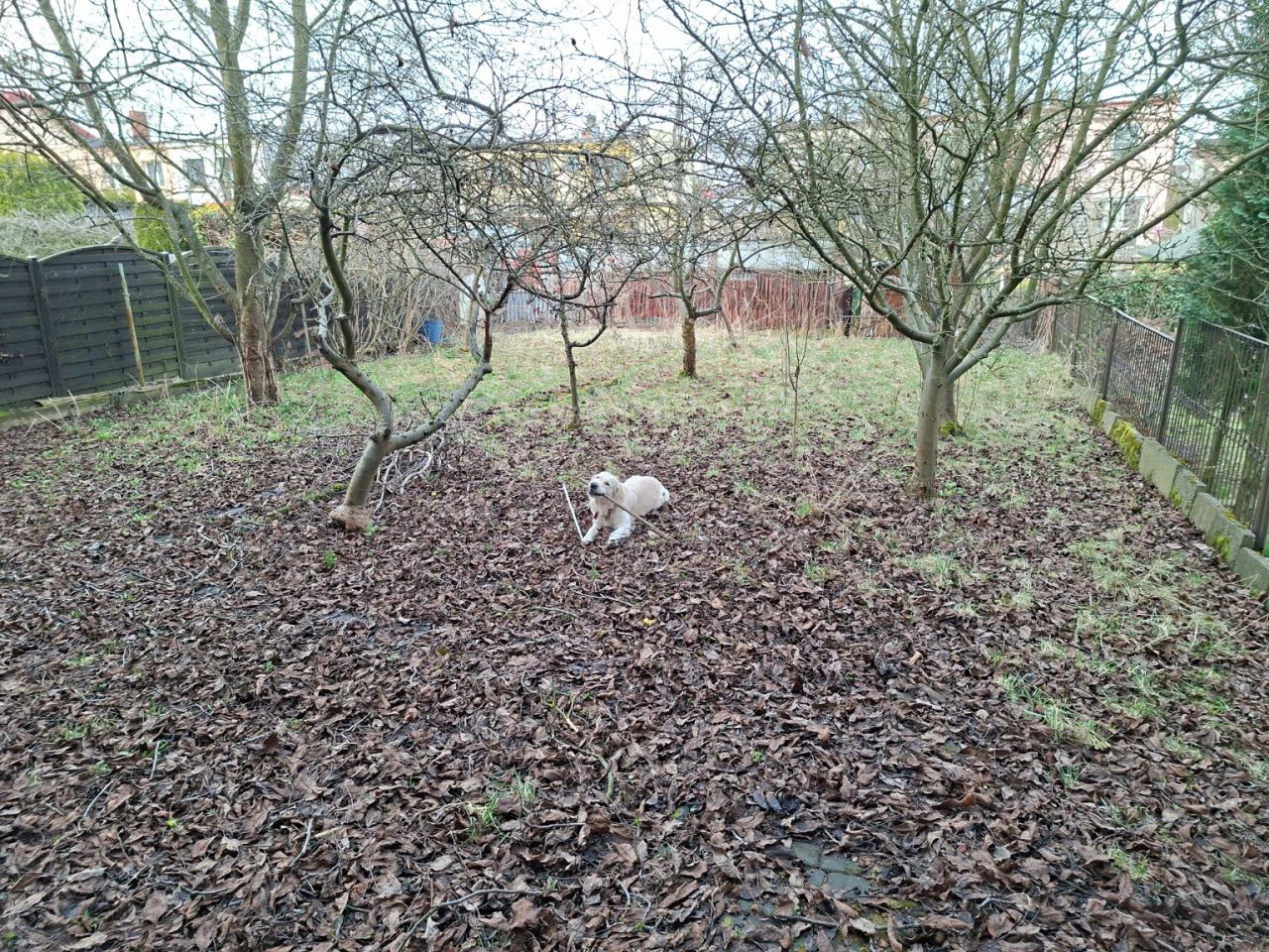 bliźniak, 5 pokoi Kielce KSM, ul. Mąchocka. Zdjęcie 26