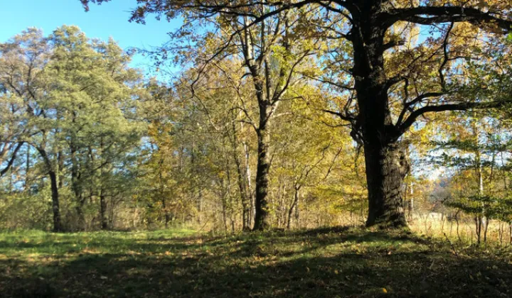 Działka rolno-budowlana Jaworze