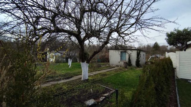 Działka rekreacyjna Katowice Murcki. Zdjęcie 1