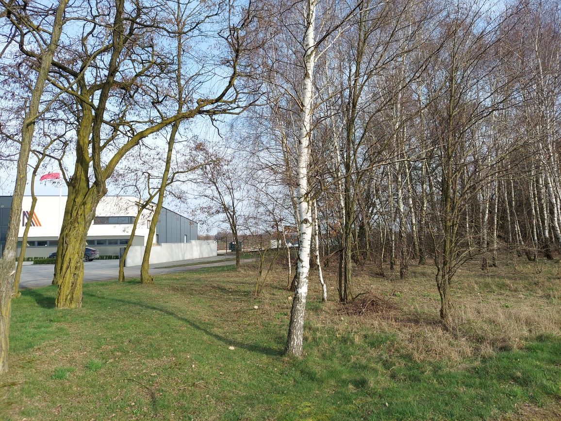 Działka budowlana Drzązna. Zdjęcie 3