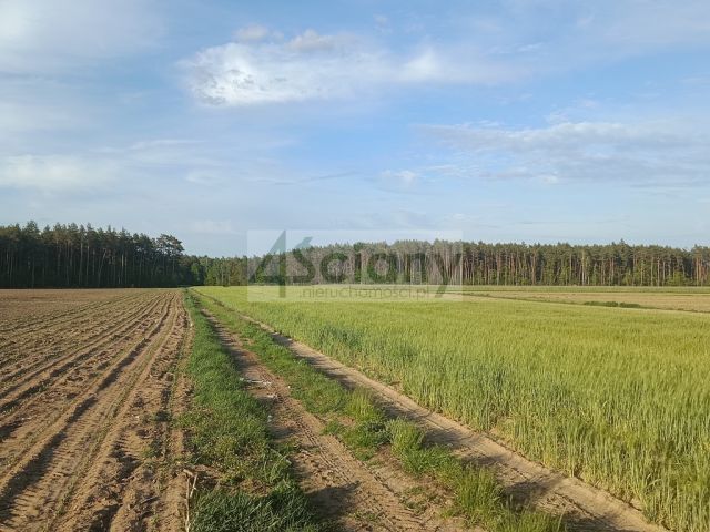 dom wolnostojący, 3 pokoje Wyszonki-Klukówek. Zdjęcie 48